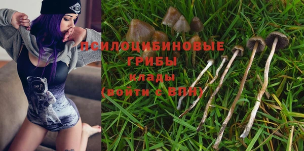 Альфа ПВП Богородицк