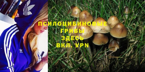 Альфа ПВП Богородицк