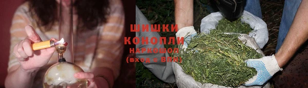 прущая мука Богданович