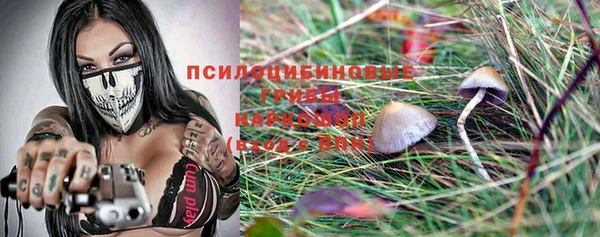 прущая мука Богданович