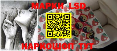 Альфа ПВП Донецк