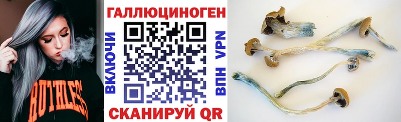 Псилоцибиновые грибы Psilocybe Воркута
