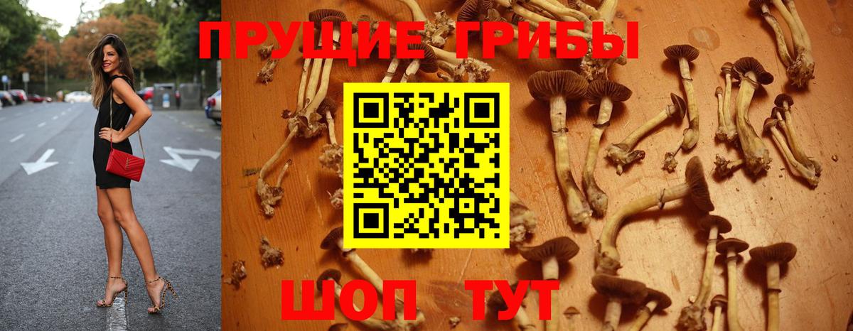 Галлюциногенные грибы GOLDEN TEACHER  Вход с VPN  Воркута 